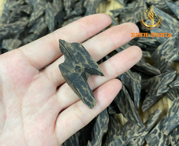 The situation of using Agarwood in Qatar