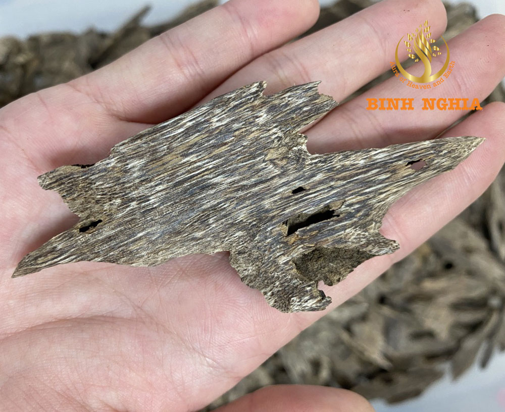The factors that form Agarwood and the production process of Agarwood